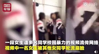 哈尔滨女生爆料事件视频,真相与争议交织的校园风云  第1张